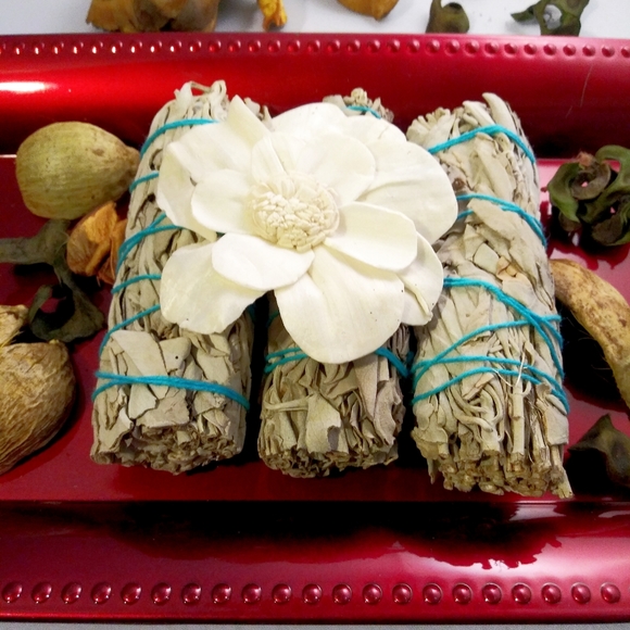 Cute Energy Collection Box - Picture 7 of 7